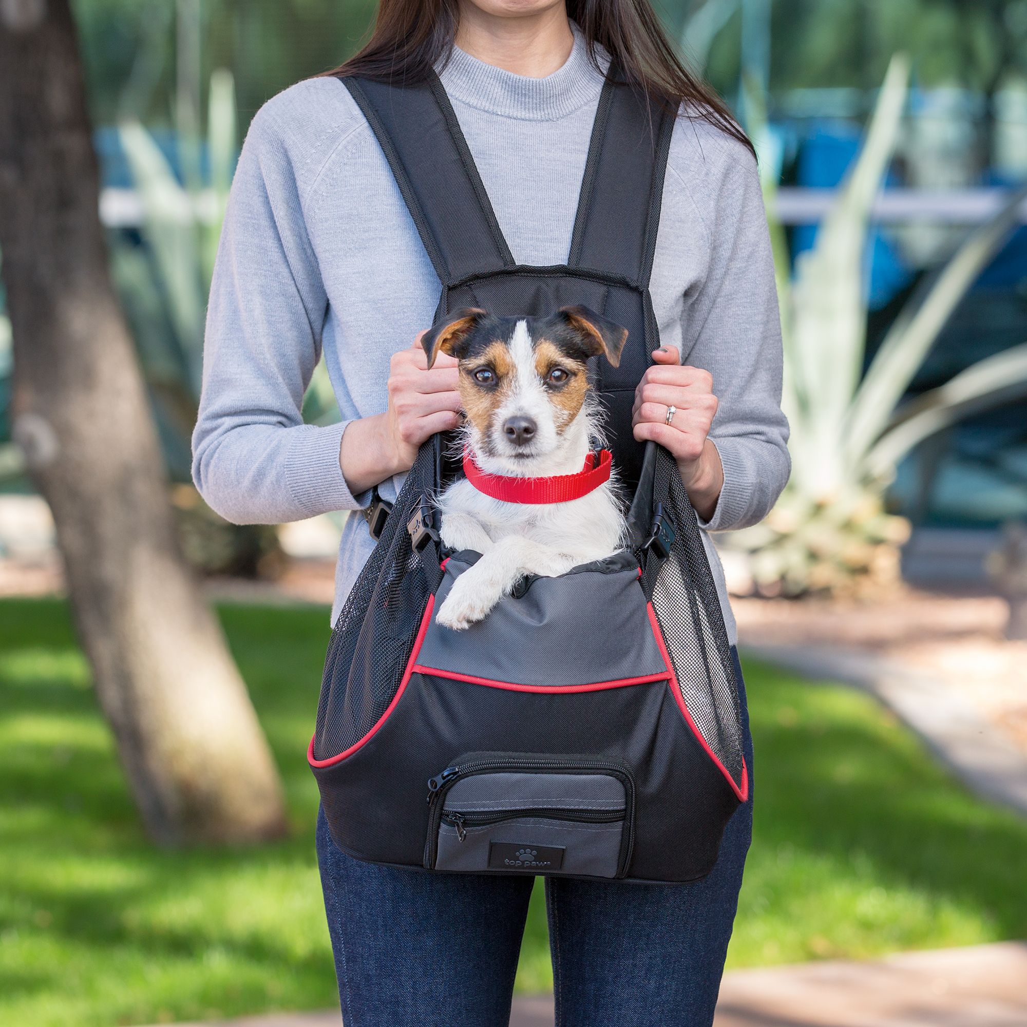 small dog front carrier