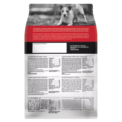 Product Red Leaf ™ Angus Beef Dog Food - Grain Free