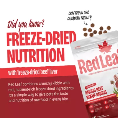 Red Leaf Adult Dog Food - Angus Beef - Image 3
