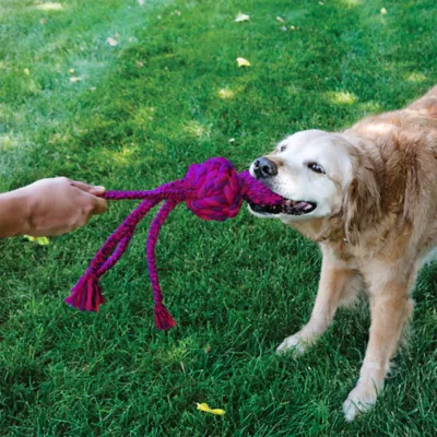 KONG® Wubba™ Weave Rope Dog Toy - Image 2