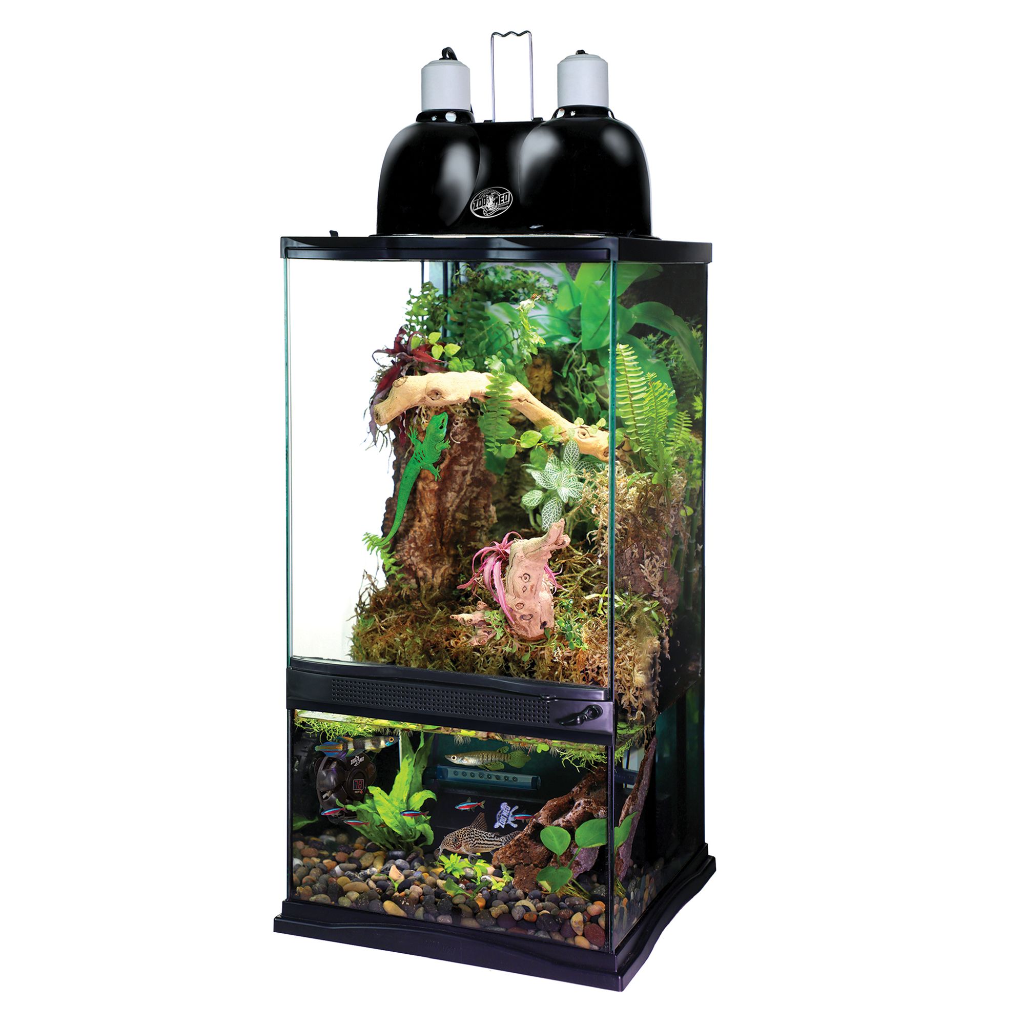 petsmart reptile terrarium