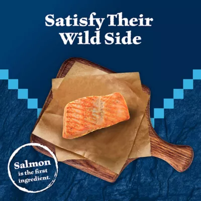 Product Blue Buffalo® Wilderness™  All Life Stages Treat Cat Treats - Natural, Salmon