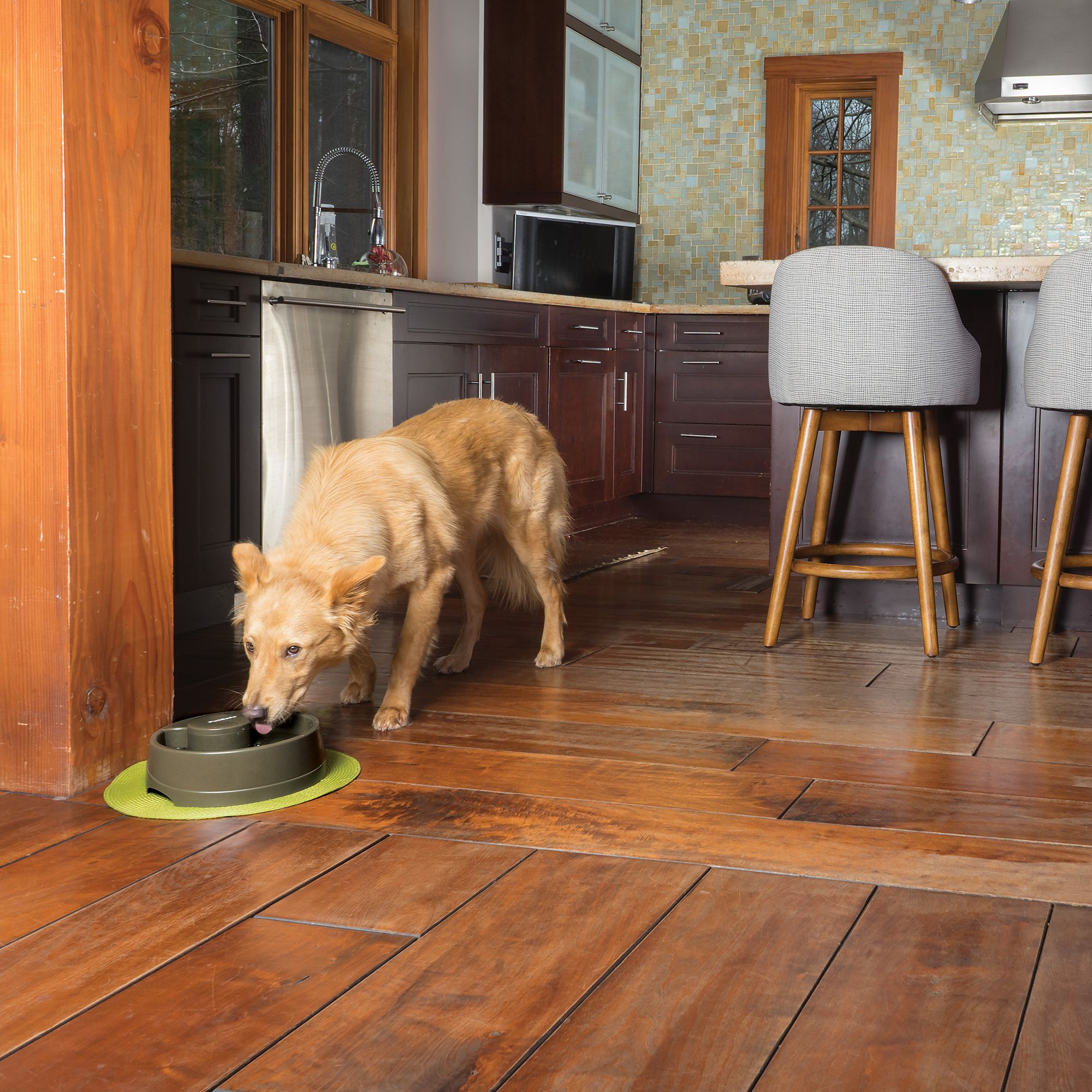 petsafe current circulating pet fountain