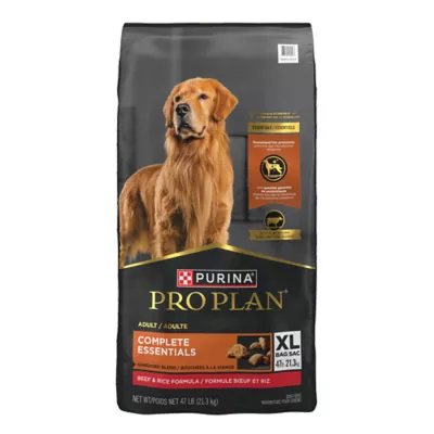 Purina old dog food best sale