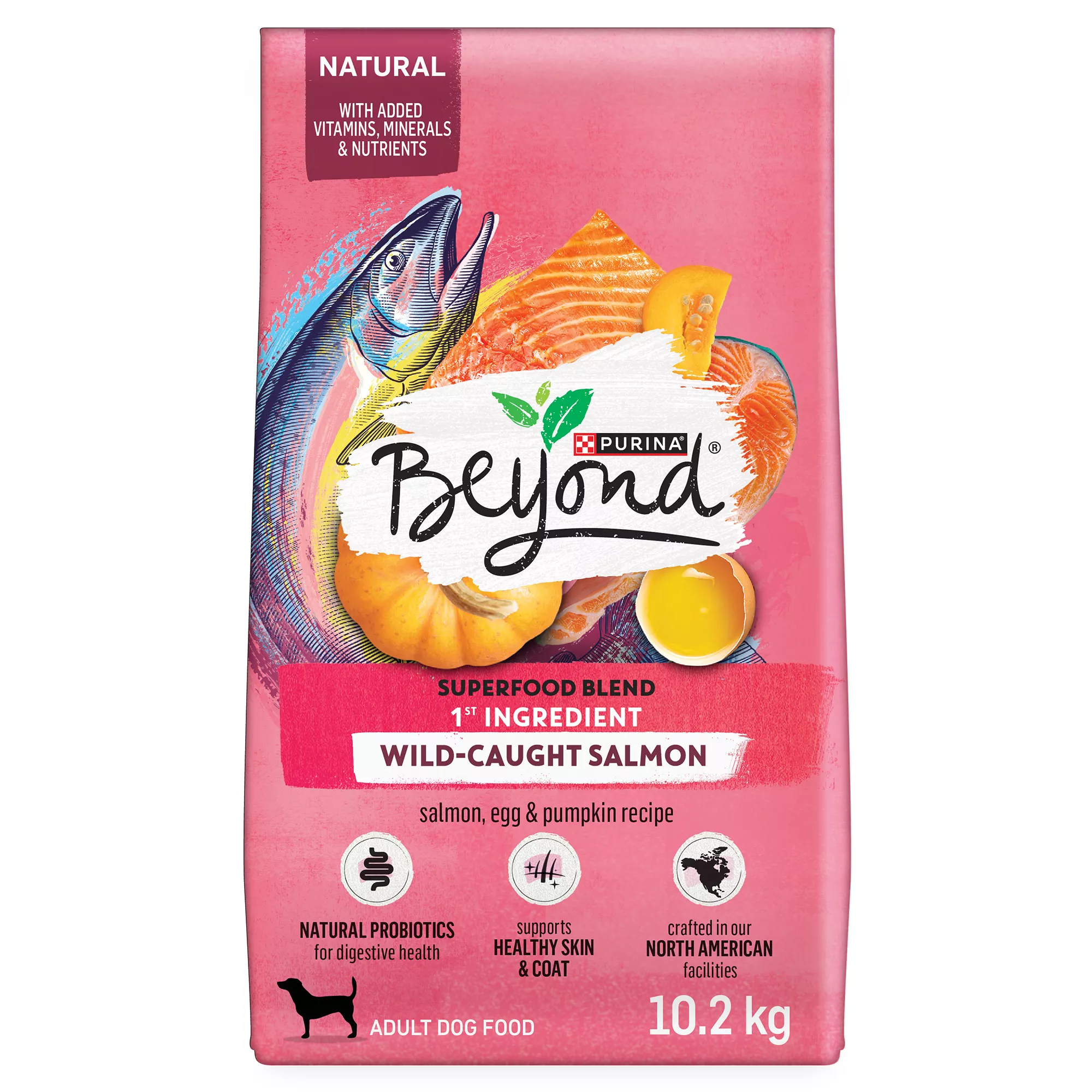 Purina® Beyond® Superfood Blend Dry Dog Food - Salmon, Egg & Pumpkin Recipe