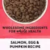 Beyond Superfood Blend Dry Dog Food - Wild Caught Salmon, Egg & Pumpkin Recipe image thumbnail 8