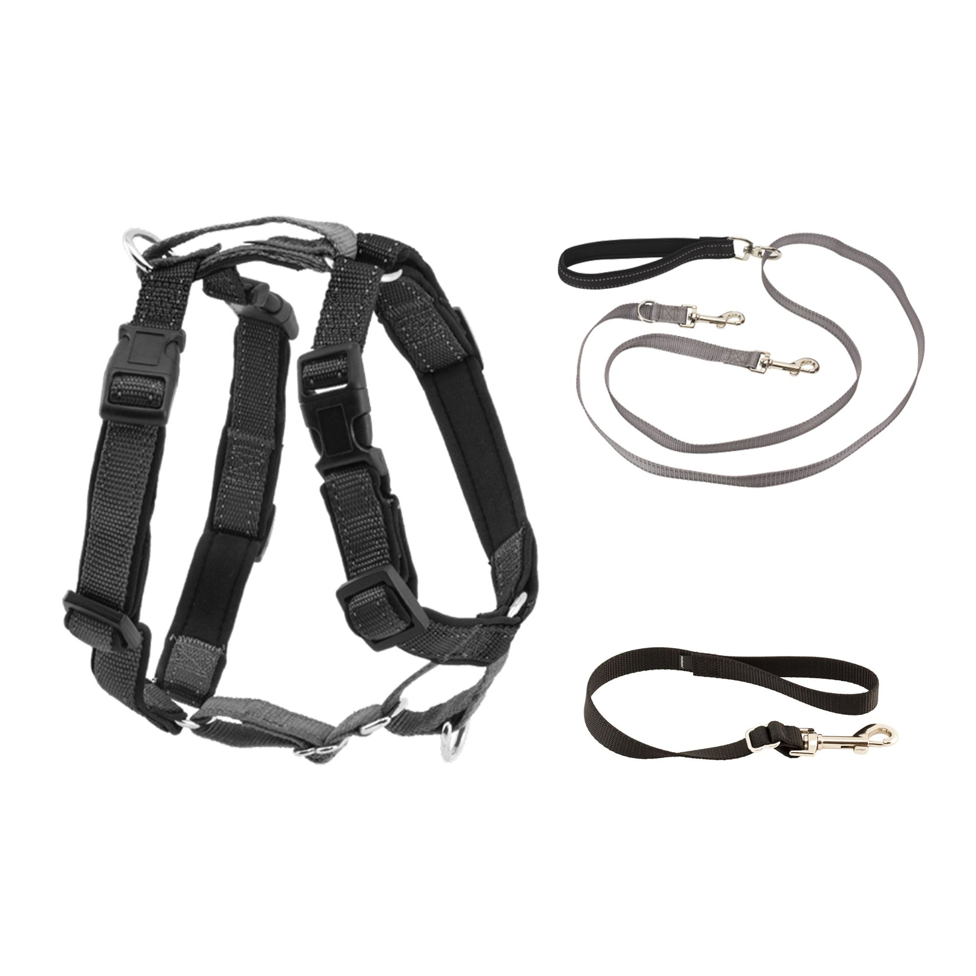 PetSafe 3 in 1 Harness with Two Point Control Leash Large Black