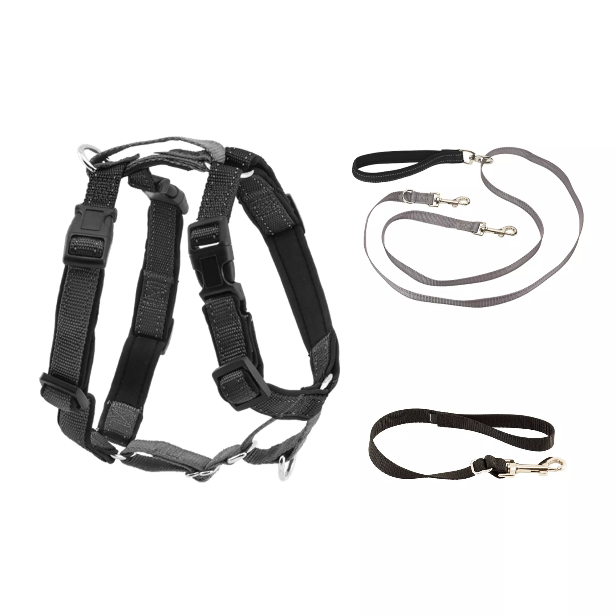 PetSafe® 3 in 1 Harness with Two Point Control Leash - No-Pull Harness -  Black