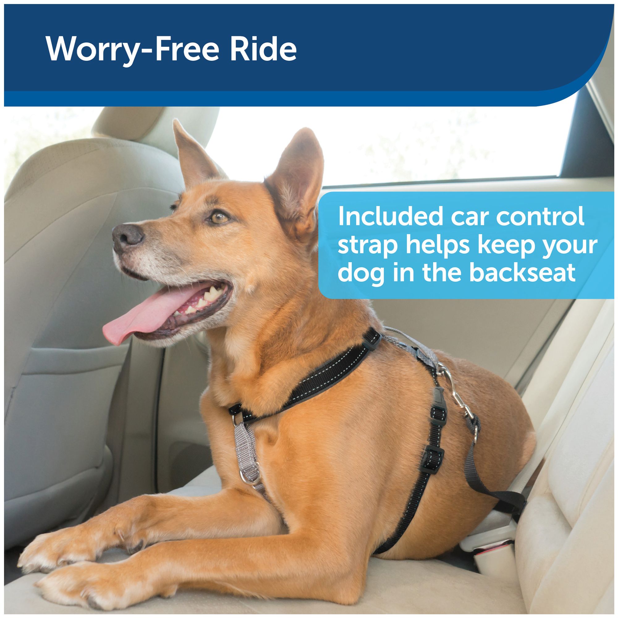 Petsafe harness 3 in 1 best sale