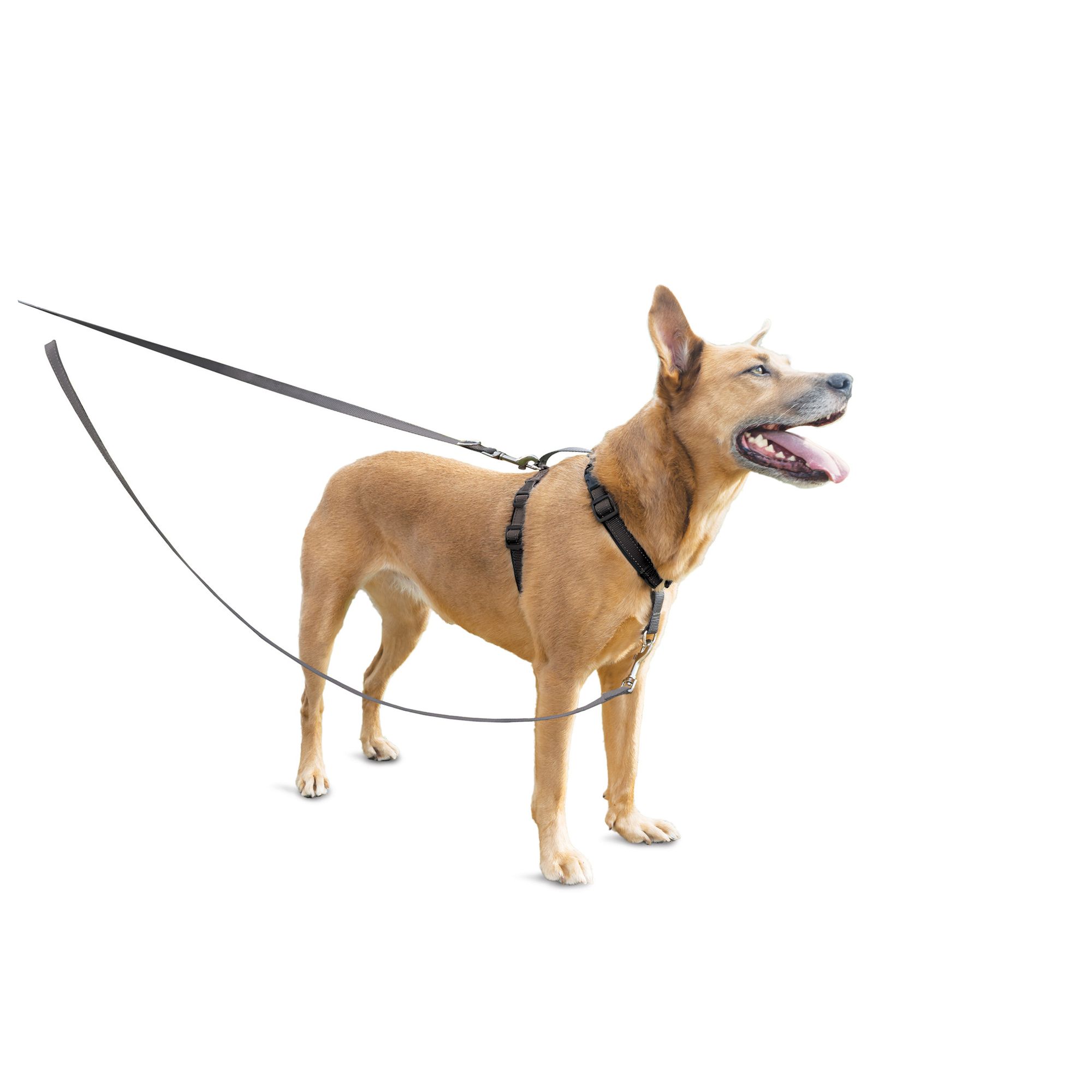 PetSafe 3 in 1 Harness with Two Point Control Leash No Pull Harness PetSmart in Tustin CA The Market Place