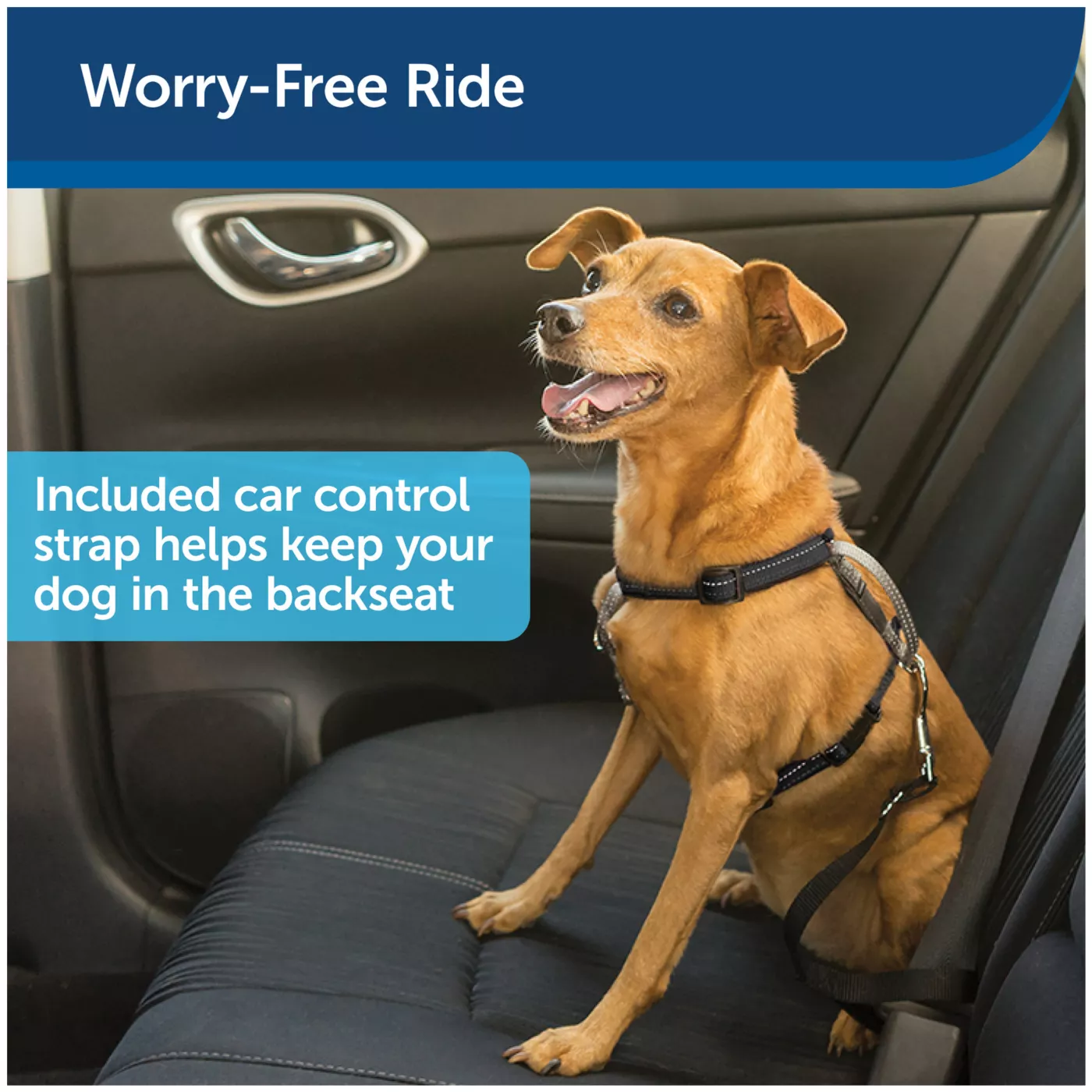 Dog seat belt harness petsmart best sale