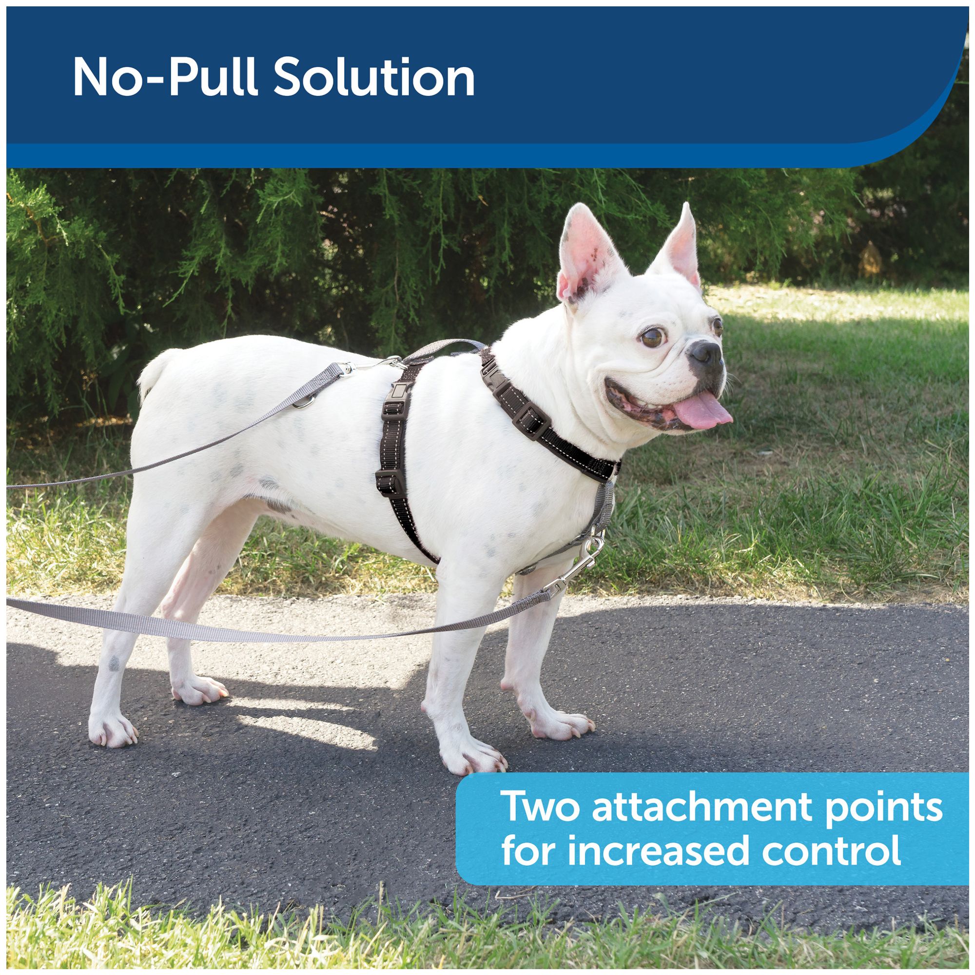 PetSafe 3 in 1 Harness with Two Point Control Leash No Pull Harness PetSmart in Tustin CA