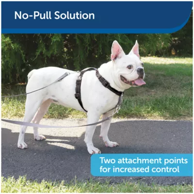 PetSafe 3 in 1 Harness with Two Point Control Leash No Pull Harness Black