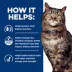 Hill's® Prescription Diet® Kidney Care k/d™ Early Support Cat Food - Chicken image thumbnail 5
