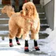 Product Muttluks Fleece Lined Dog Booties