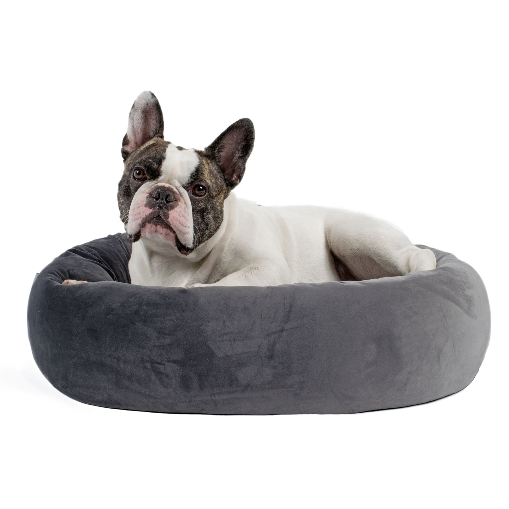 habitat dog bed