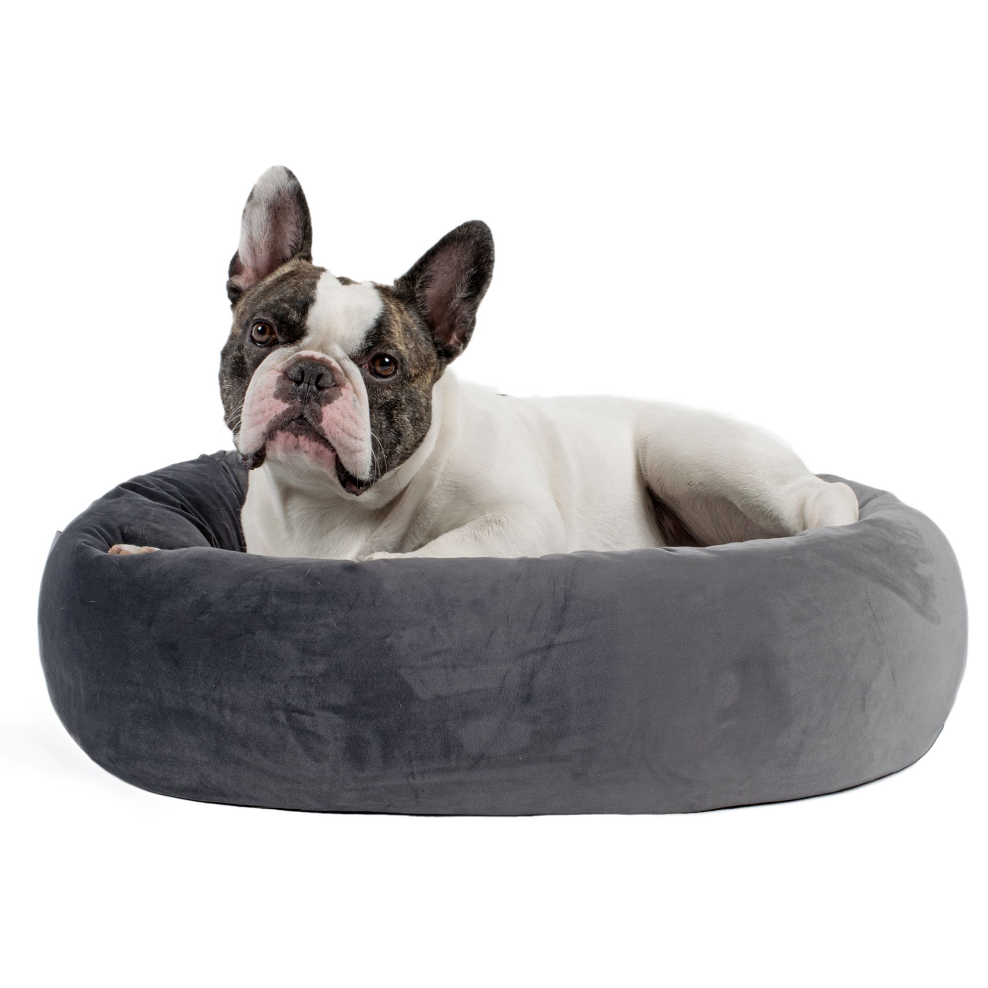 dog beds canada