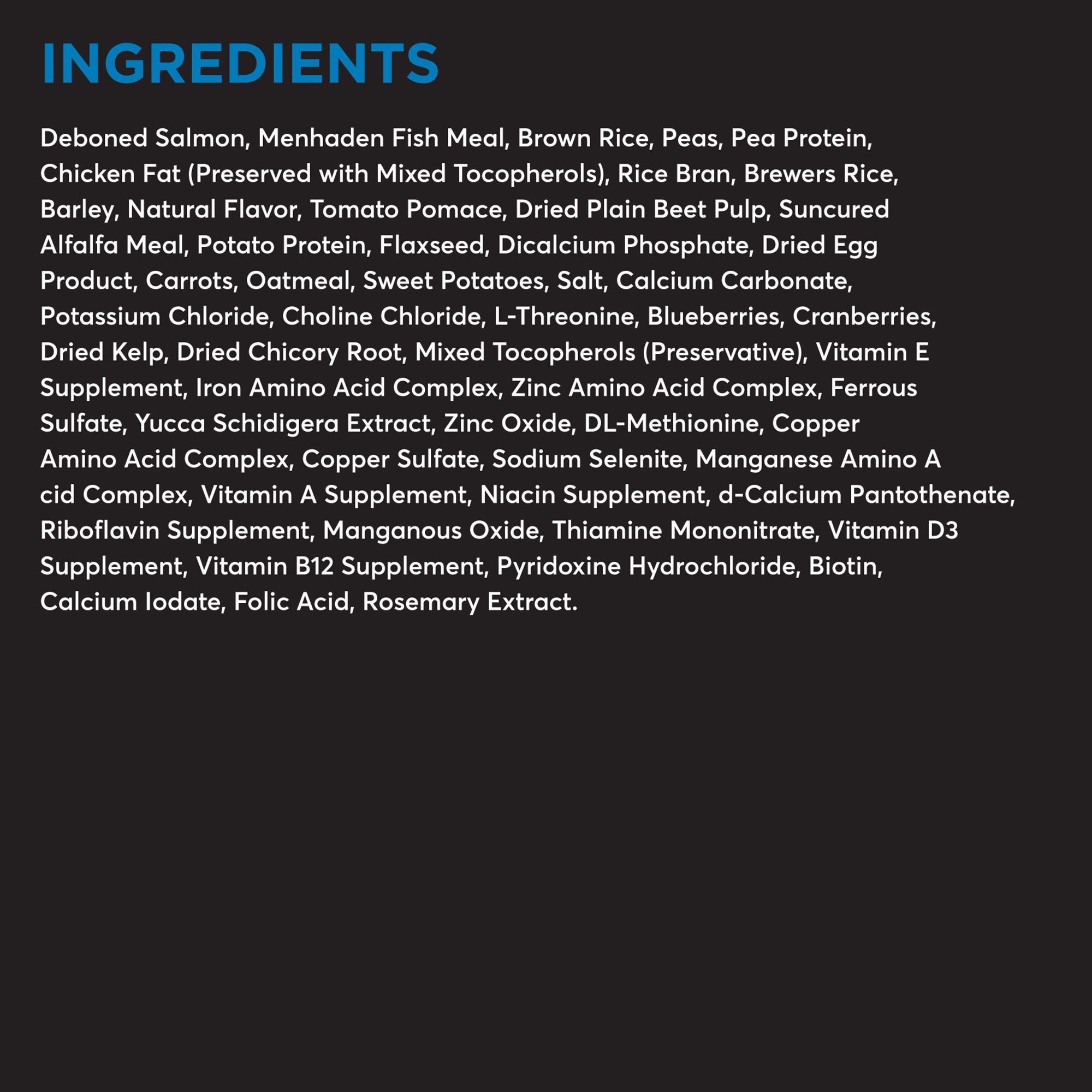 american journey petsmart