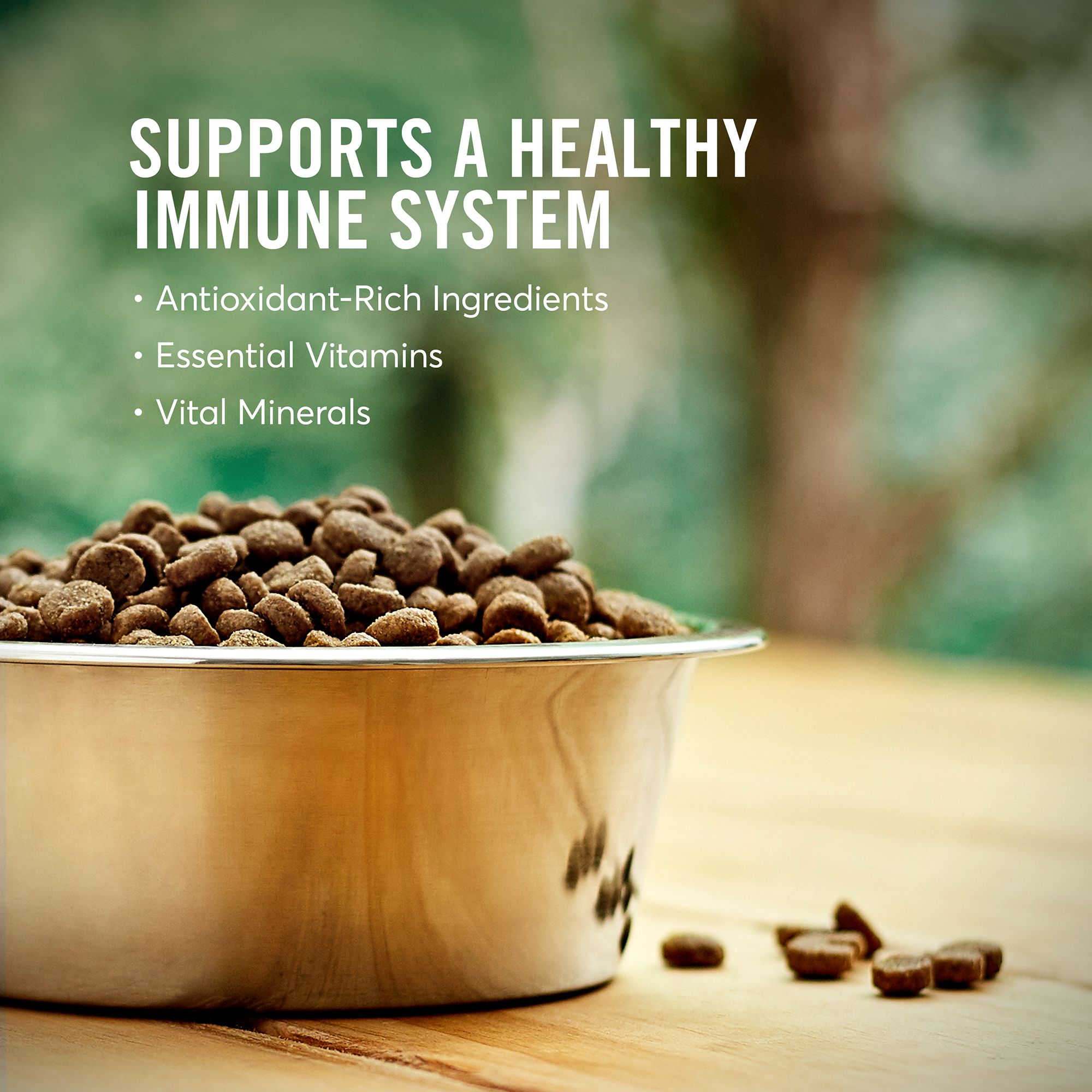 american journey petsmart