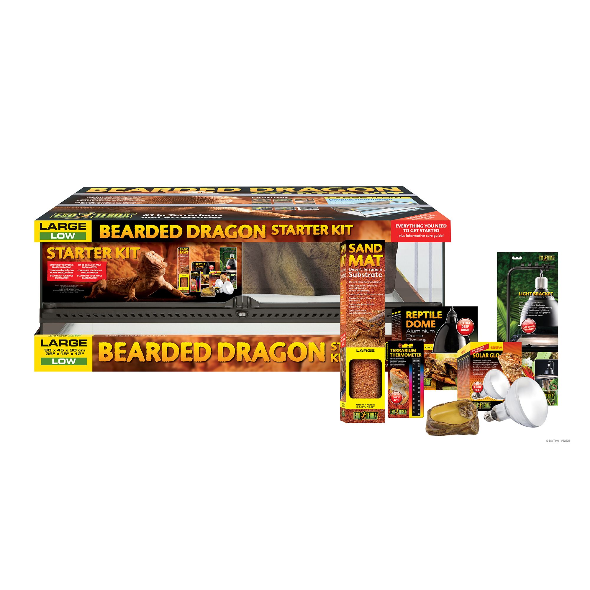 bearded dragon kit