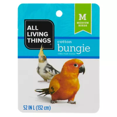 Product All Living Things® Bungie Bird Toy