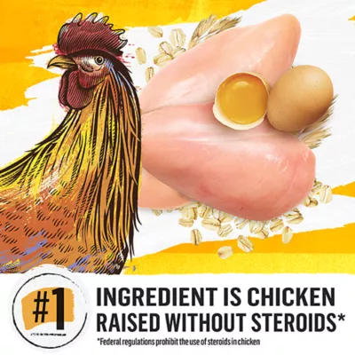 Beyond Dry Cat Food - Chicken & Whole Oat Meal Recipe - Image 3