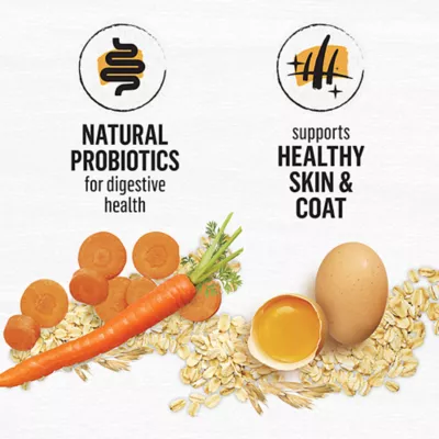 Beyond Dry Cat Food - Chicken & Whole Oat Meal Recipe - Image 4