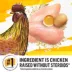 Beyond Dry Cat Food - Chicken & Whole Oat Meal Recipe image thumbnail 4