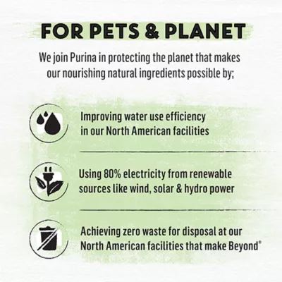 Beyond Dry Cat Food - Chicken & Whole Oat Meal Recipe - Image 5