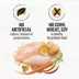 Beyond Dry Cat Food - Chicken & Whole Oat Meal Recipe image thumbnail 7