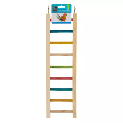 Product All Living Things® Cockatiel Ladder