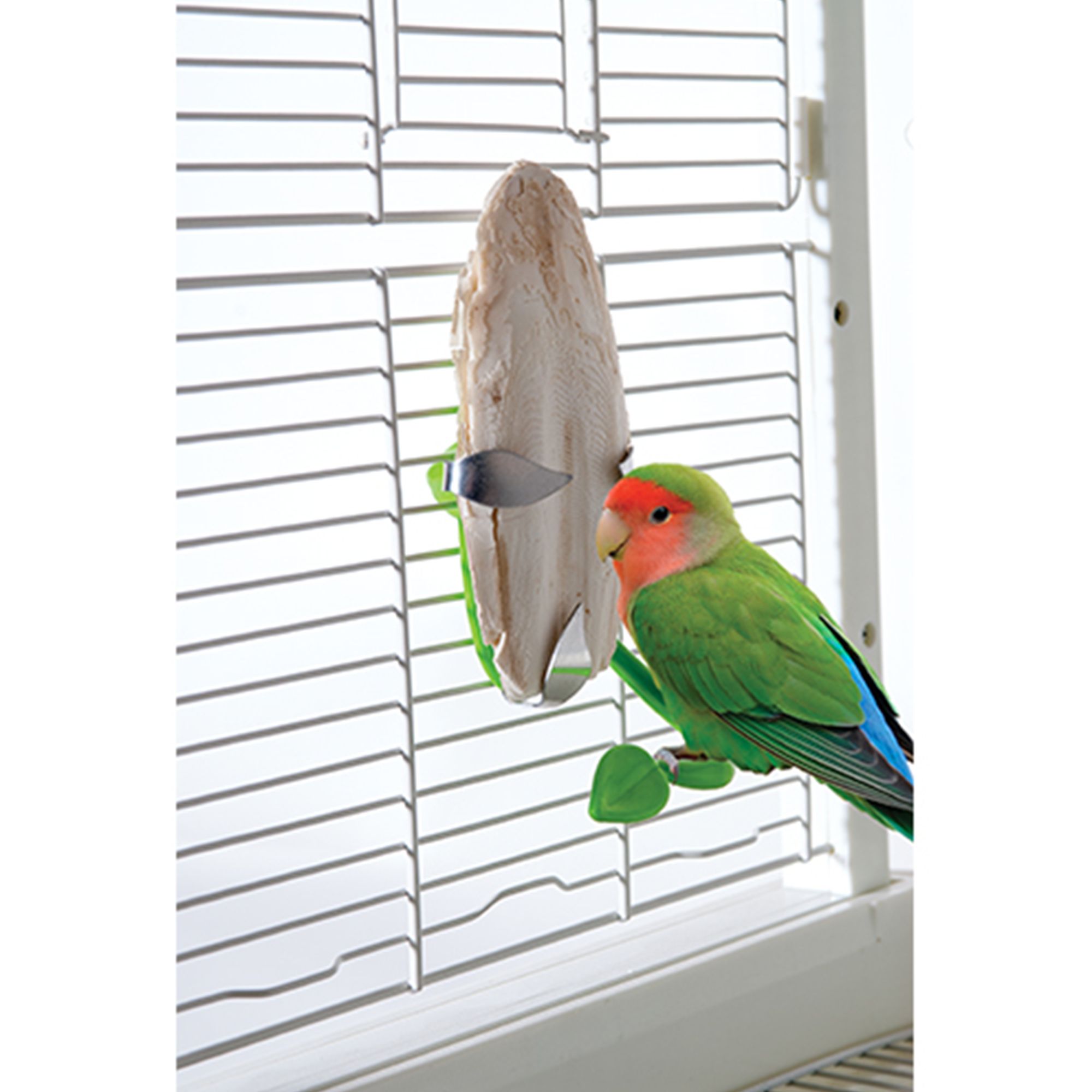 All Living Things® Bird Beak Buffer