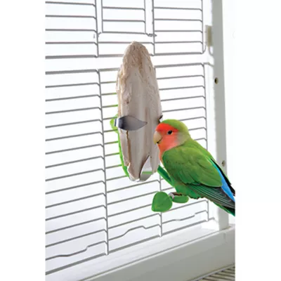 Product All Living Things® Tropical Cuttlebone Holder