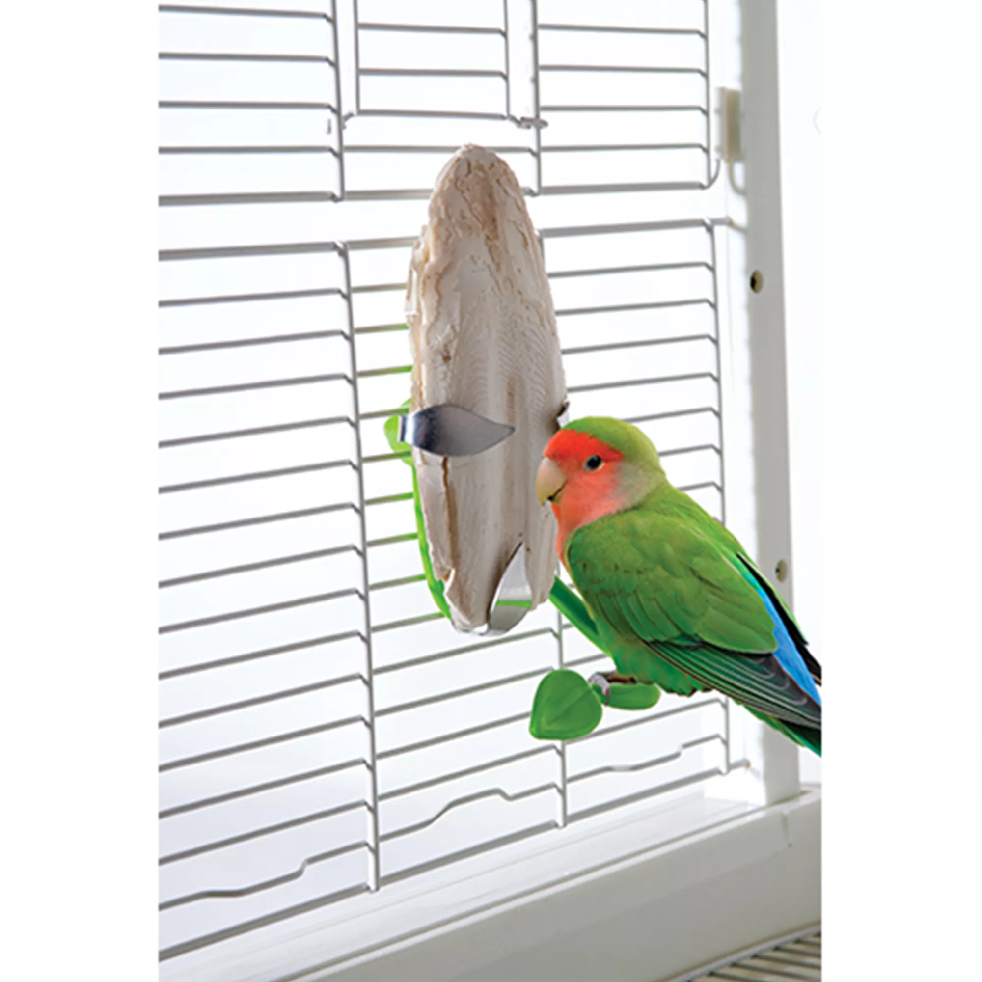 All Living Things® Tropical Cuttlebone Holder