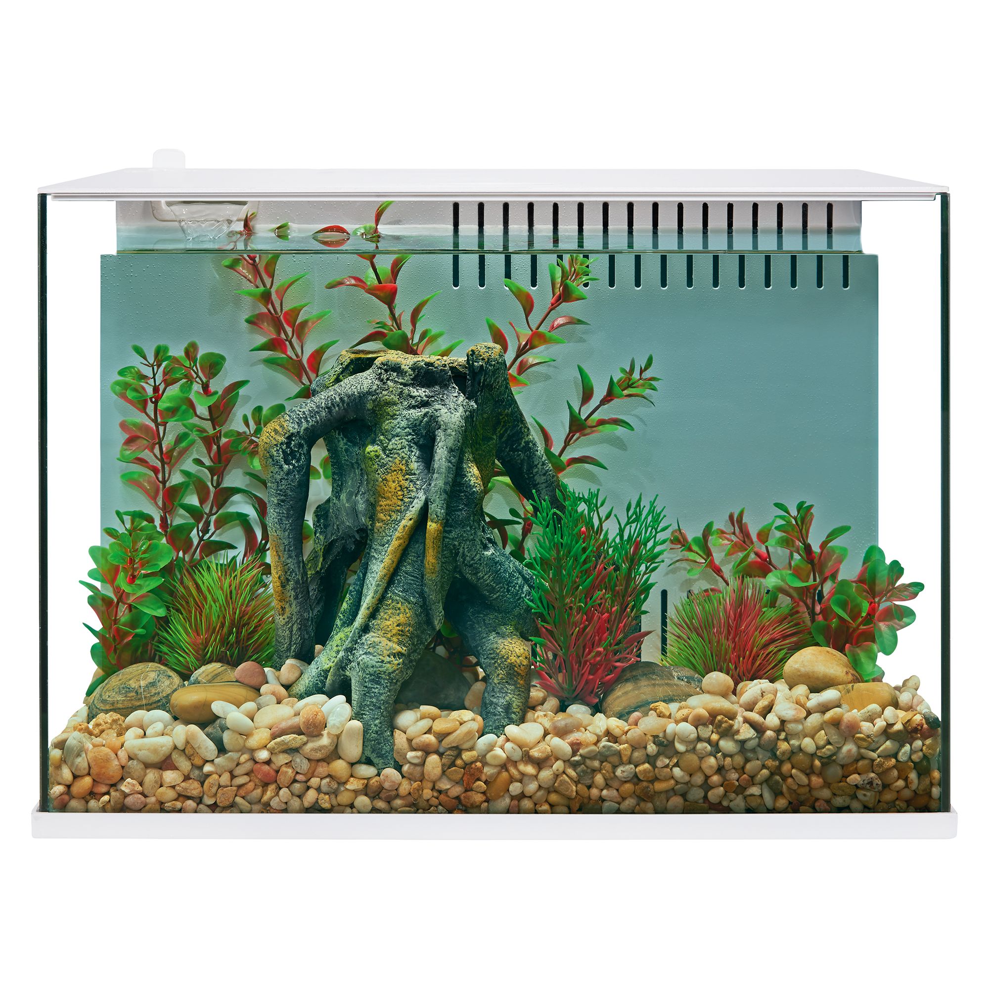 Fish Tanks, Bowls & Aquariums