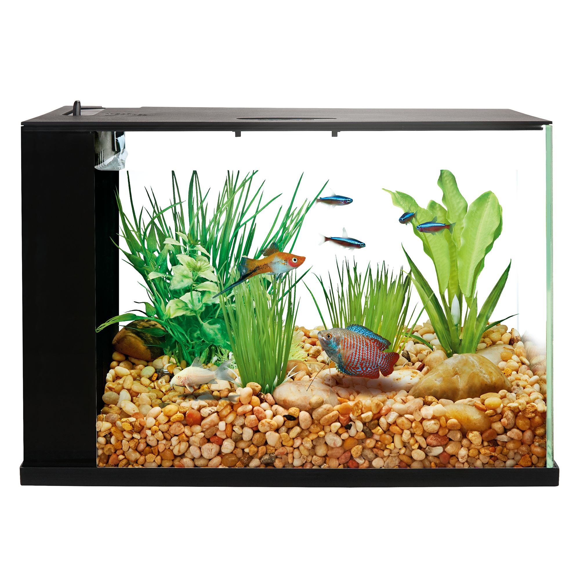 Top Fin Easy Clean Aquarium 3 Gallon