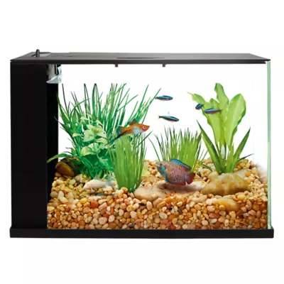 2 gallon fish tank petsmart hotsell