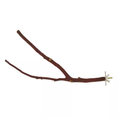 Product All Living Things® Forked Manzanita Bird Perch