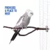 All Living Things® Forked Manzanita Bird Perch image thumbnail 5