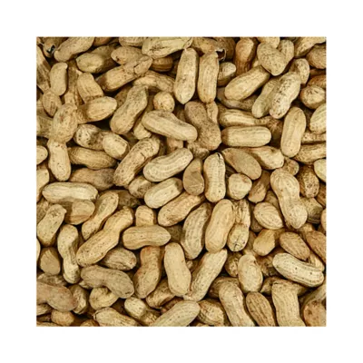 Product KAYTEE® Whole Shell Peanuts Wild Bird & Wildlife Food