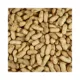 Product KAYTEE® Whole Shell Peanuts Wild Bird & Wildlife Food