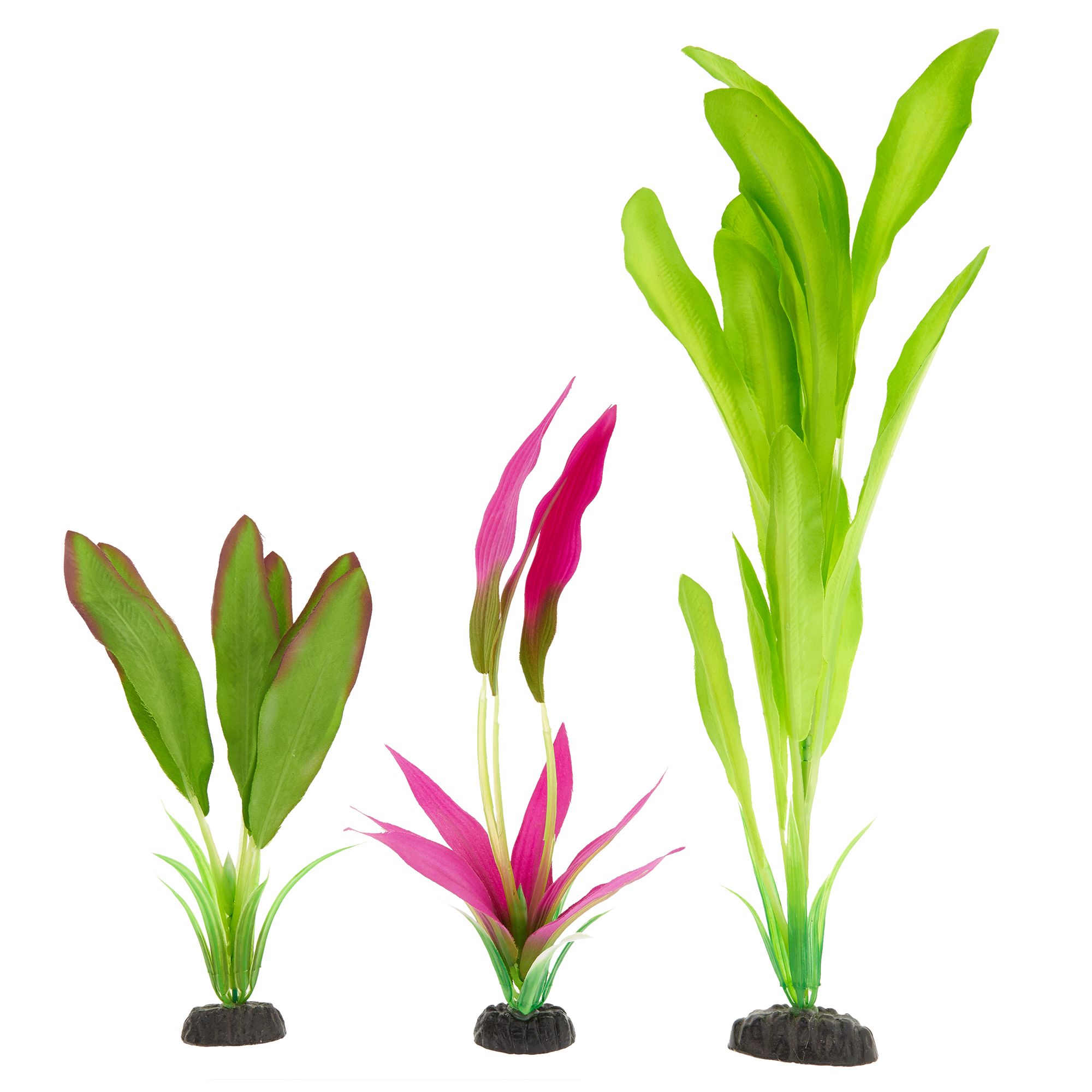 aquarium plants petsmart
