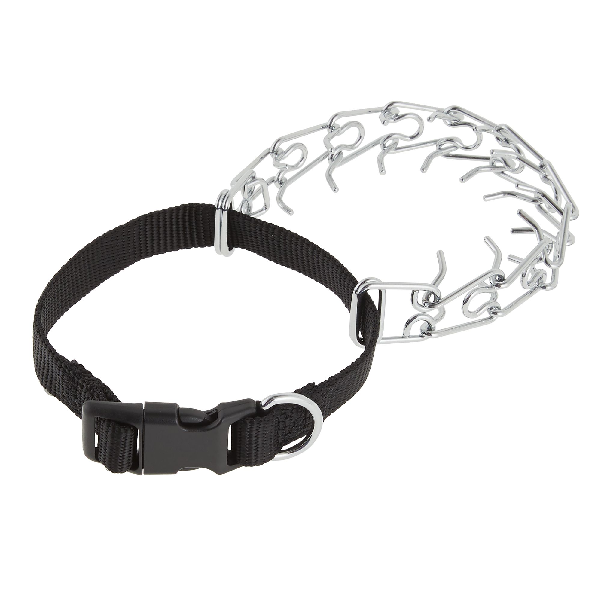 Top Paw Buckle Prong Training Dog Collar, Size: Small | PetSmart