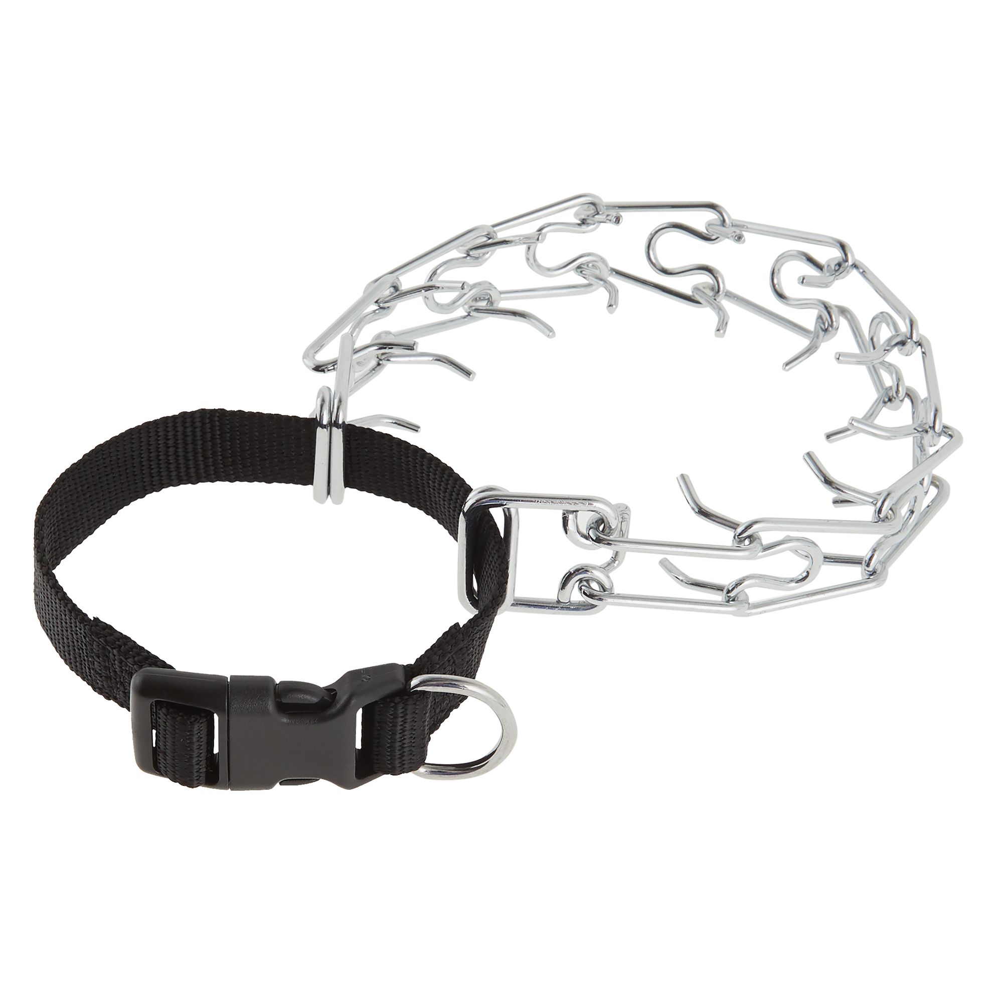 using a prong collar for training