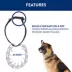 Top Paw® Prong Dog Collar, Training Dog Collar, Multiple Sizes image thumbnail 3