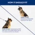 Top Paw® Prong Dog Collar, Training Dog Collar, Multiple Sizes image thumbnail 4