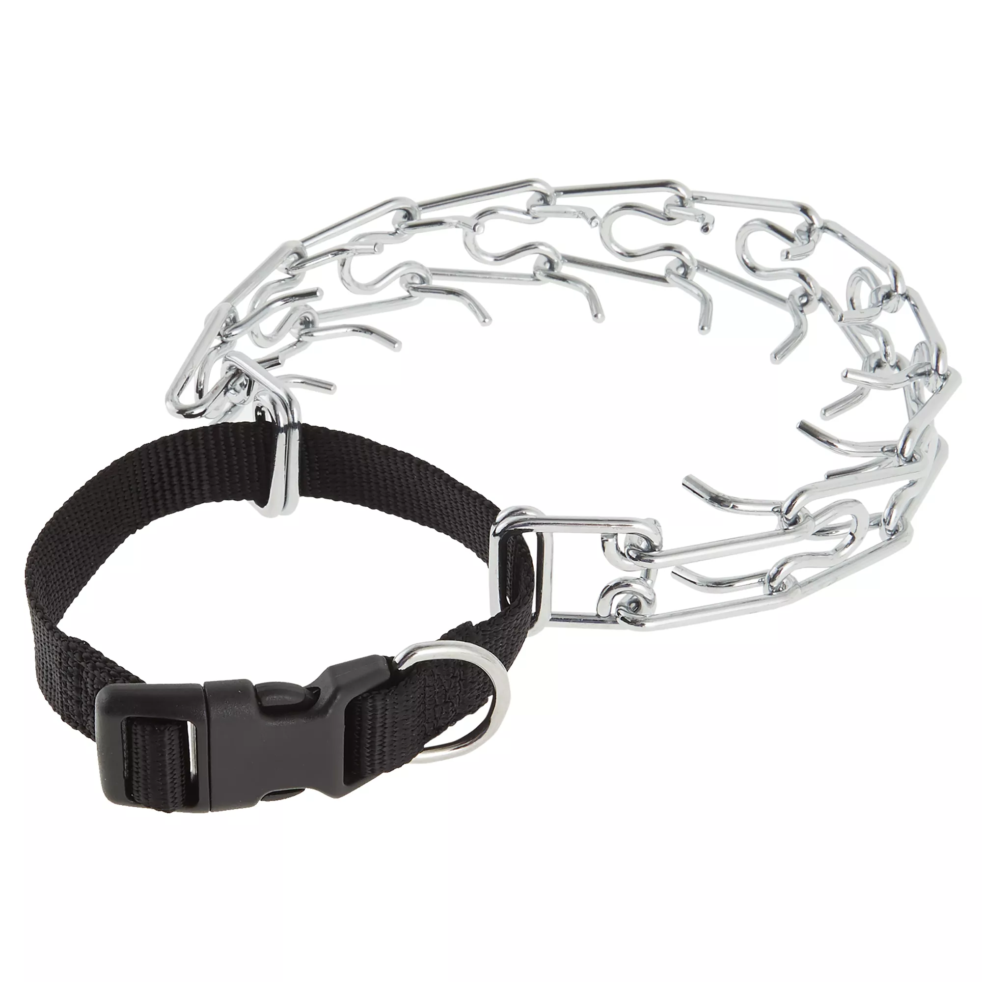 Top Paw® Buckle Prong Training Dog Collar