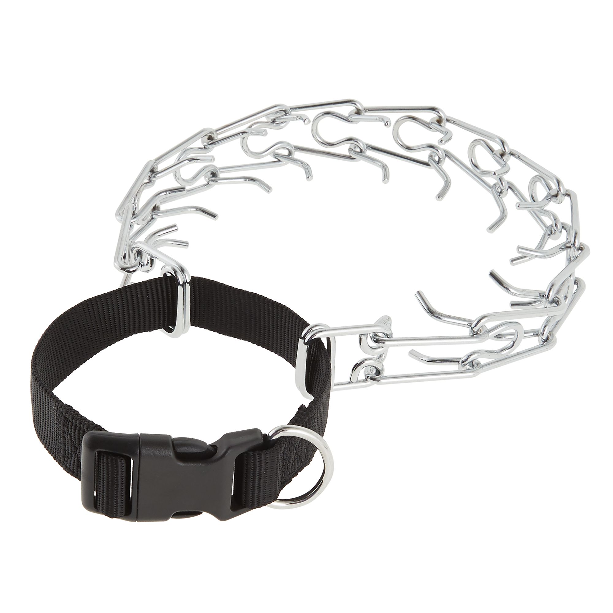 Top Paw Buckle Prong Training Dog Collar, Size: Small | PetSmart