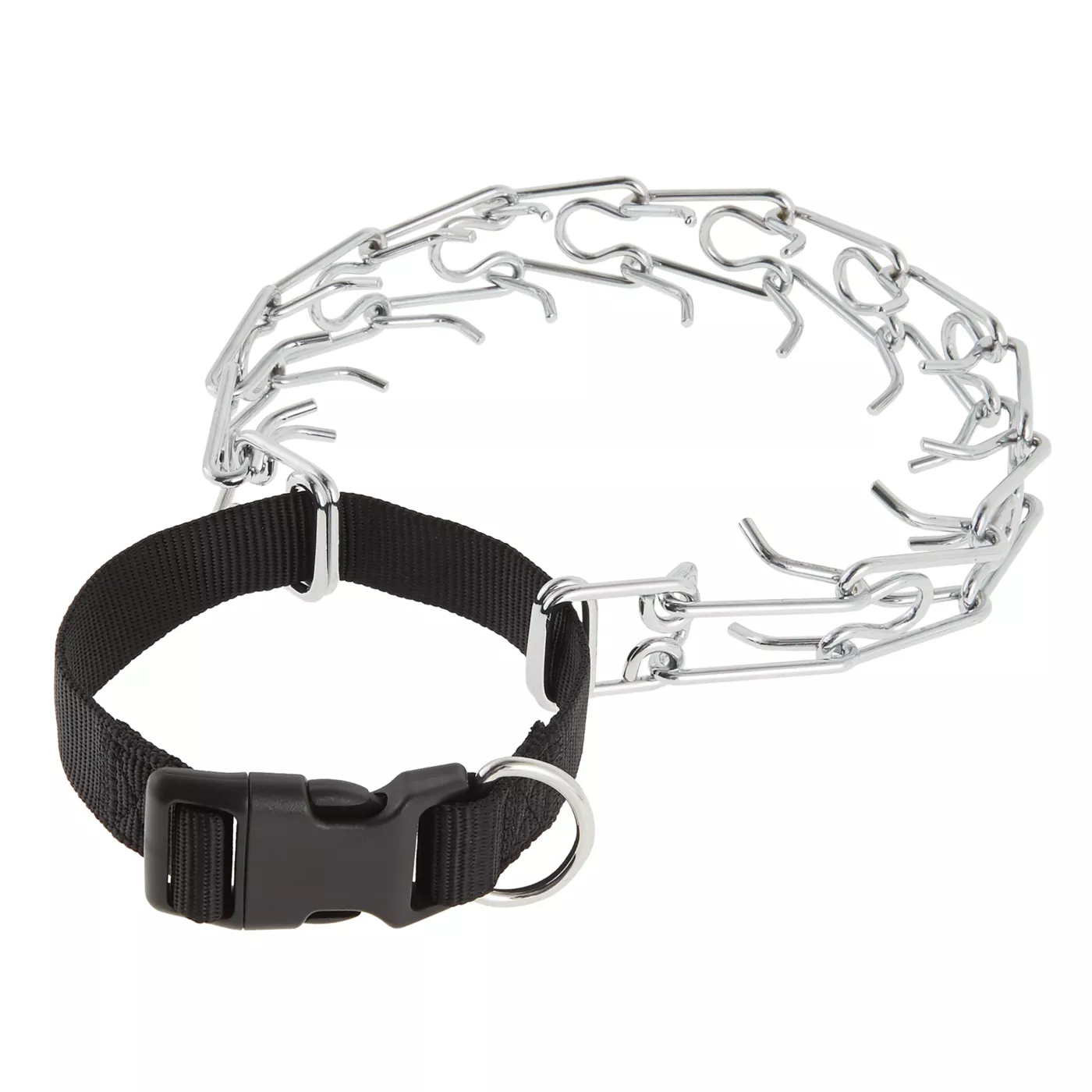 Top Paw Buckle Prong Training Dog Collar