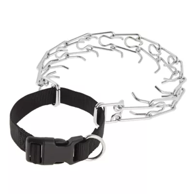 Product Top Paw® Buckle Prong Training Dog Collar